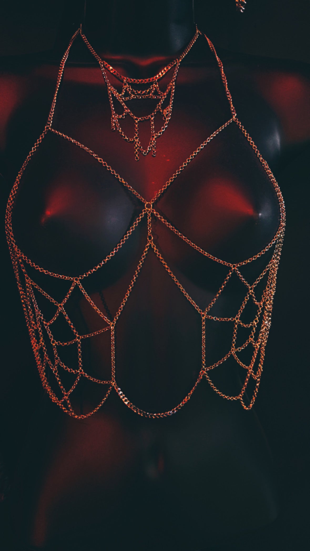 'SPIDER WEB' STAINLESS STEEL CHAIN BRA HARNESS AND CHOKER