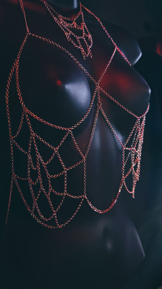 'SPIDER WEB' STAINLESS STEEL CHAIN BRA HARNESS AND CHOKER