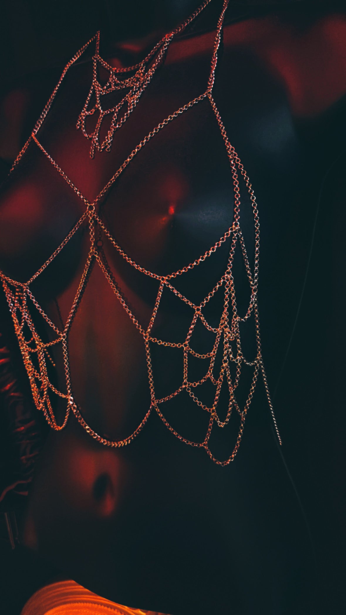 'SPIDER WEB' STAINLESS STEEL CHAIN BRA HARNESS AND CHOKER